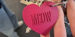 Ein roter Schlüsselanhänger in Herzform Ein roter Schlüsselanhänger in Herzform mit der Aufschrift Meow