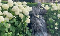 Bayreuther Hofgarten: Statue in einem Blumenbeet