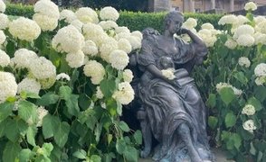 Bayreuther Hofgarten: Statue in einem Blumenbeet